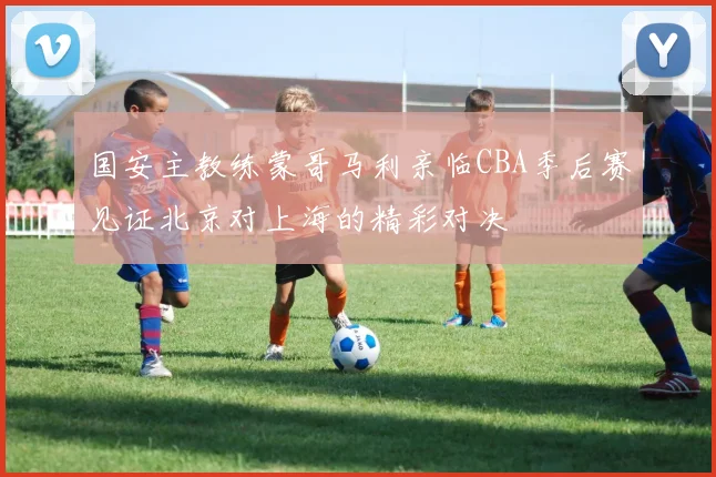 国安主教练蒙哥马利亲临CBA季后赛见证北京对上海的精彩对决