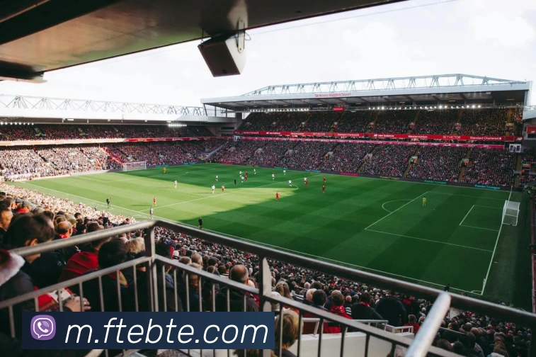 体育App